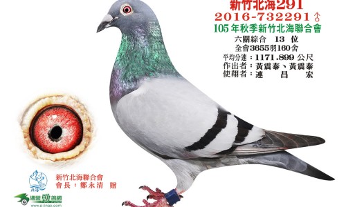 四方笋的功效和作用是什么-四方笋的功效和作用网 | 四方笋图片大全,四方笋的功效和作用禁忌