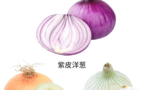 四方笋的功效和作用网 | 四方笋图片大全,四方笋的功效和作用禁忌
