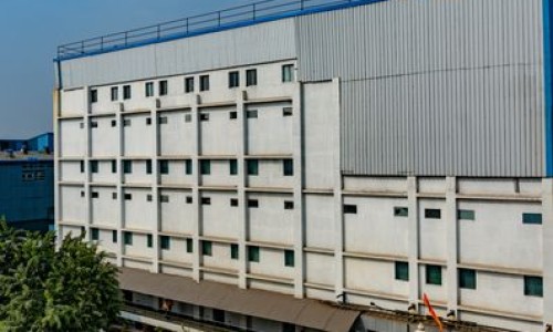 四方竹笋图片-四方笋的功效和作用网 | 四方笋图片大全,四方笋的功效和作用禁忌